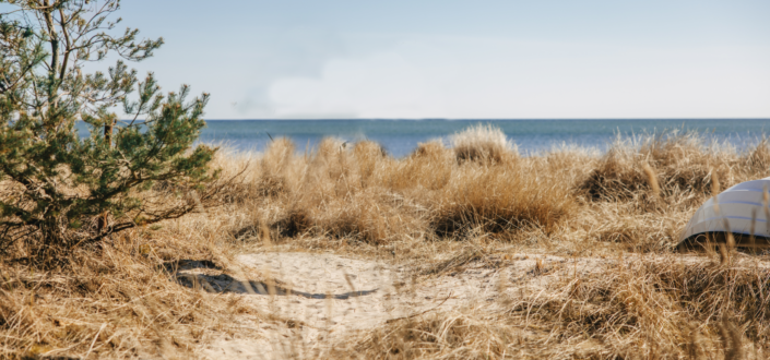 Springtime in Gotland, Sweden