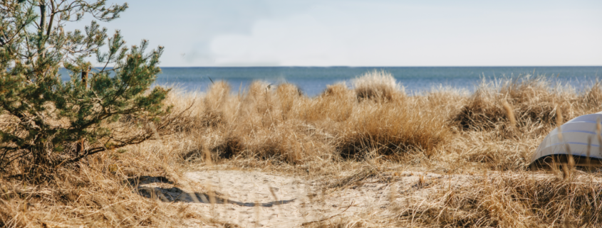 Springtime in Gotland, Sweden